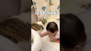 【嬰兒有豁免權？】貓主子有差別待遇！寶寶得到許可任他摸 #Shorts