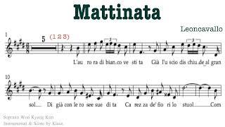 Mattinata - Leoncavallo | 아침의 노래