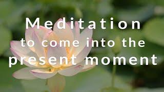 (No Ads) Meditation to find presence | 10 minutes | Guided by Alex Howard