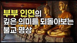 우연이 아닌 인연의 비밀을 아시나요? 지금 곁에 있는 사람과의 놀라운 연결고리!