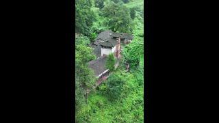百年前的大户人家，如今人走楼空，杂草丛生，繁华落尽一场空，曲终人散皆是梦，再也没有人回来过年了，这就是人生啊！#老房子的回忆#乡愁记忆#老家
