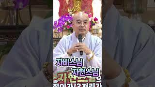 내가 자비스님으로 바꾸려는 이유