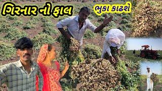 ગિરનાર ૪ ના વાઢ || village life