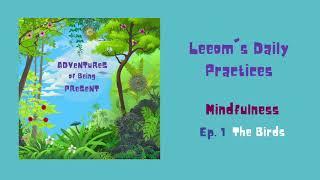 Leeom's Daily Practices   Mindfulness   Ep 1   The Birds