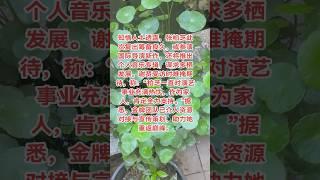 #八卦 #明星 #王菲 #谢霆锋