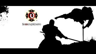 ►Demonstration Shorinji Kempo By Arai Shoji Sensei.