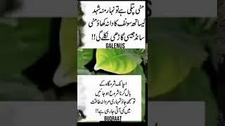 Best short Tips by RC Info Tv #rcinfo #besttotkay