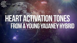 Heart Activation Tones from a Young Yauaney Hybrid  The New Earth