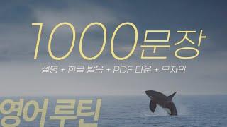  뒹굴신 영어 루틴 1️⃣0️⃣0️⃣0️⃣문장 최종본