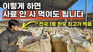 매일 5천마리 한우가 먹는 발효사료를 만드는 방법 (자가배합, TMR사료)