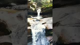 "عاشقان طبیعت"Doğa severlerNature lovers"Amoureux de la nature