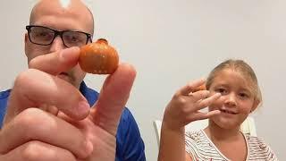 A Patch of Pumpkin Spice Bites Taste Test