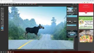 Pixlr Editor (Basic Tutorial) Ep. 3
