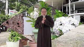 PGHH -  Thi Văn Giáo Lý -  Bài Cảm Tác