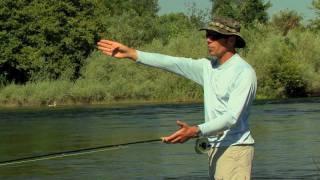 DOUBLE SPEY CAST - BILL LOWE, FLY GUIDE & EDUCATOR