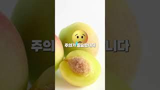 매실청 담글 때는 씨앗을 빼세요!!