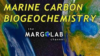 Marine Carbon Biogeochemistry