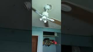 iphone ringtone with ceiling fan #funny #memes #ceilingfan #shorts