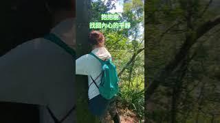 大自然的療癒，樹療，抱抱樹，找回內心的平靜#放鬆 #引導放鬆 #療癒 #樹木 #大自然 #平靜