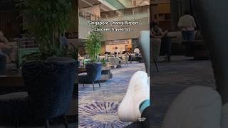 Singapore Changi Airport Layover Travel Tip | What to do In Singapore Airport: Butterfly Garden  