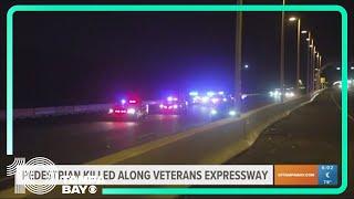 Police: Man hit, killed by car while walking along Veterans Expressway near TPA