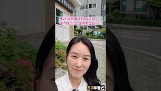 대연동 4억대 초역세권 아파트 #부동산 #아파트 #실거래가 #전월세 매물증감#전세자금대출#부동산 규제#대연SK뷰힐스#DSR3단계#부동산전망