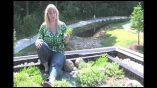 Sky Gardens - Greenroofs of the World: 4of4 - Rock Mill Park