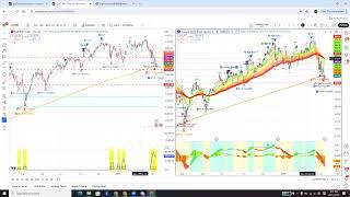 bigtreesignal 将交易化繁为简 (Mar 09) 周末复盘+展望:控制好整体仓位等待反弹 #nvda #tsla #msft #amzn #google #spx #qqq #dia