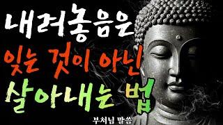 내려놓음은 잃는 것이 아닙니다 되찾는 일입니다  #부처님말씀 #불교가르침   #내려놓음 #불교오디오북 #오디오북소설 #자식사랑 #불교명상 #자기수행 #마음의소리로쓰는글