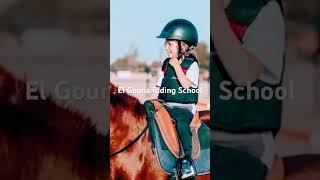 Inside The Elite Egyptian Riding School For The Ultra Wealthy