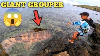 NAHULI NAREN ANG MALA-HALIMAW NA GIANT GROUPER NA ITO 