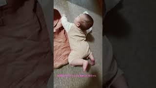 陽葵里(ひまり)ちゃんの妹、紬希(つむぎ)ちゃん寝返り成功。#陽葵里ちゃん#妹#紬希ちゃん#つむぎちゃん#陽葵里#ひまりちゃん#ひまり#寝返り#赤ちゃん#生後6ヶ月#6ヶ月#つむちゃん