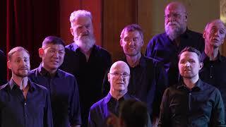 Standing With You - Low Rez Choir - Together On The Road 2022