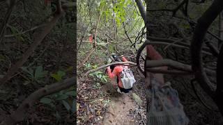 走，带你去钻小树林。跋山涉水，只为你而来。香港徒步路线-上窰-曝罟灣堤圍-万宜水库西霸。徒步攻略：於西貢市中心乘搭94、96R、289R號巴士或7、9號小巴至上窰站。#户外徒步 #大自然天然氧吧