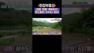 급매 싼땅 광역상수도 양지 땅! #sorts #단양부동산 #단양토지매매 #단양급매