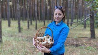 Жизнь - стресс. Жизнь - счастье. Собираем грибы. Прячемся от взрывов. Влог.