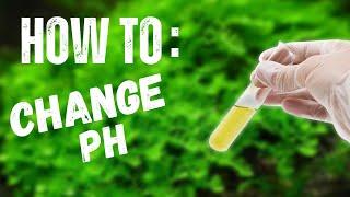 How To CHANGE pH In Your Aquarium | 6 EASY WAYS