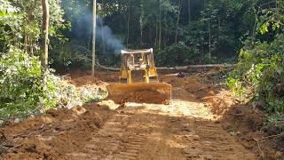 CAT D6R XL Bulldozer Operator Expands Roads Like a Pro – Must Watch!