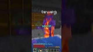 I Found a Secret Base on the Lifesteal SMP...