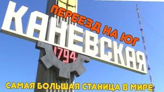 Новогодняя ёлка. Станица Каневская, ️Дворец культуры, МФЦ, Администрация, памятник В. И. Ленину