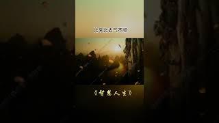 智慧人生 #佛教 #人生感悟