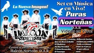 Halcón Norteño De Alex Portada - Mix Norteñas (Set2 2024)