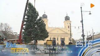 Józsáról érkezett Debrecen karácsonyfája