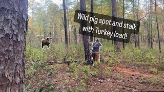 Wild Hog SPOT AND STALK!  With TURKEY load