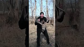 The Biggest Buck Found While Shed Hunting!