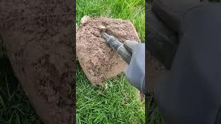 see it  #metaldetecting #hobby #treasurehunt #passion #coin #nokta