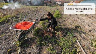 A venit frigul și noi încă mai avem de lucru