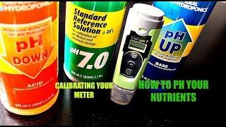 How To PH Your Water and Nutrients for Marijuana