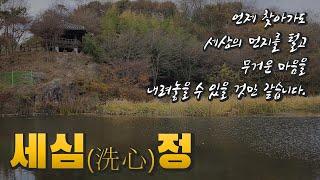 완전히 다른 고독이 감싸고 있습니다. 가을, 세심정 [완주군 고산면]