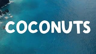 Kim Petras - Coconuts (Lyrics)